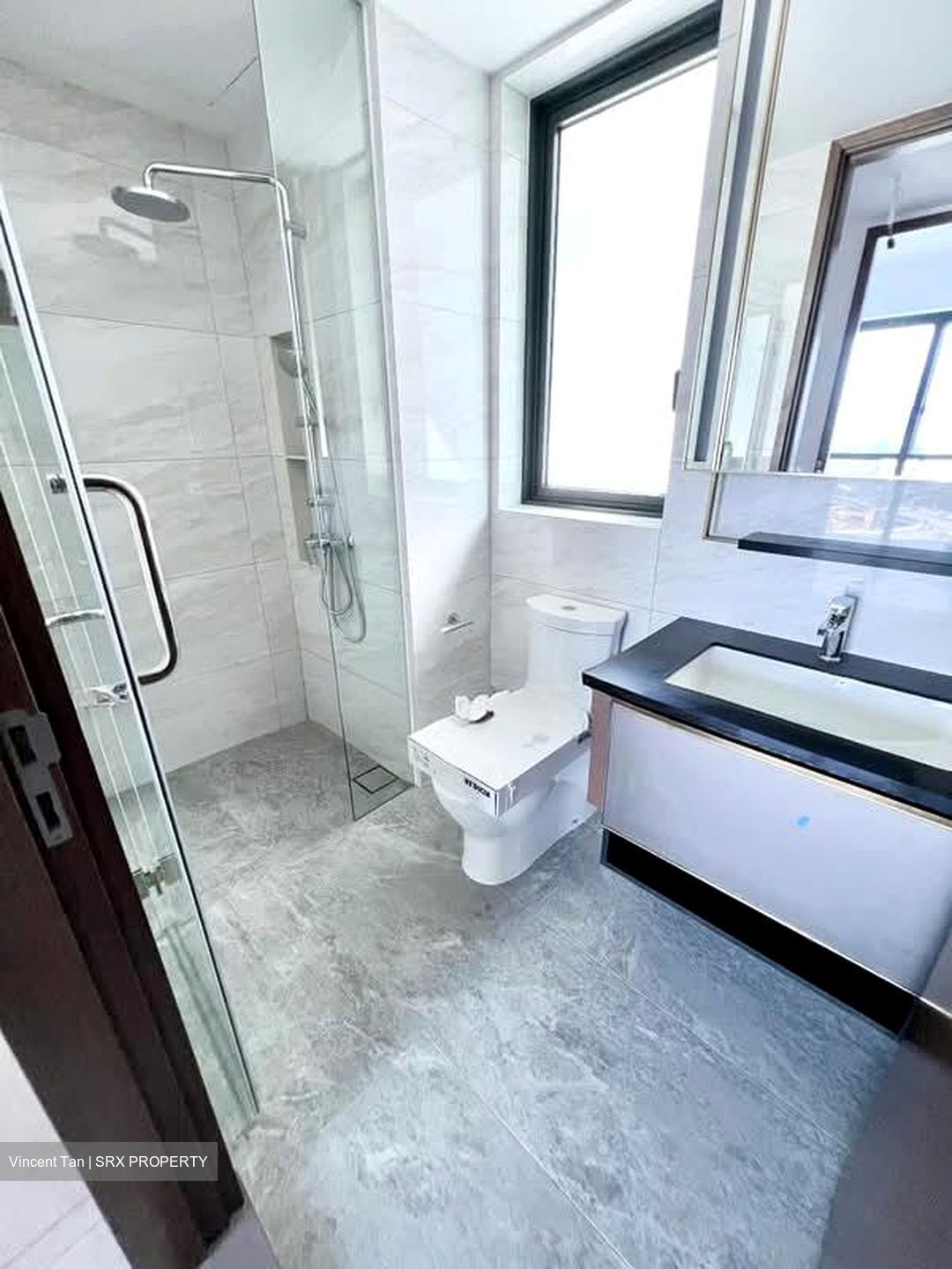 Normanton Park (D5), Apartment #582484781
